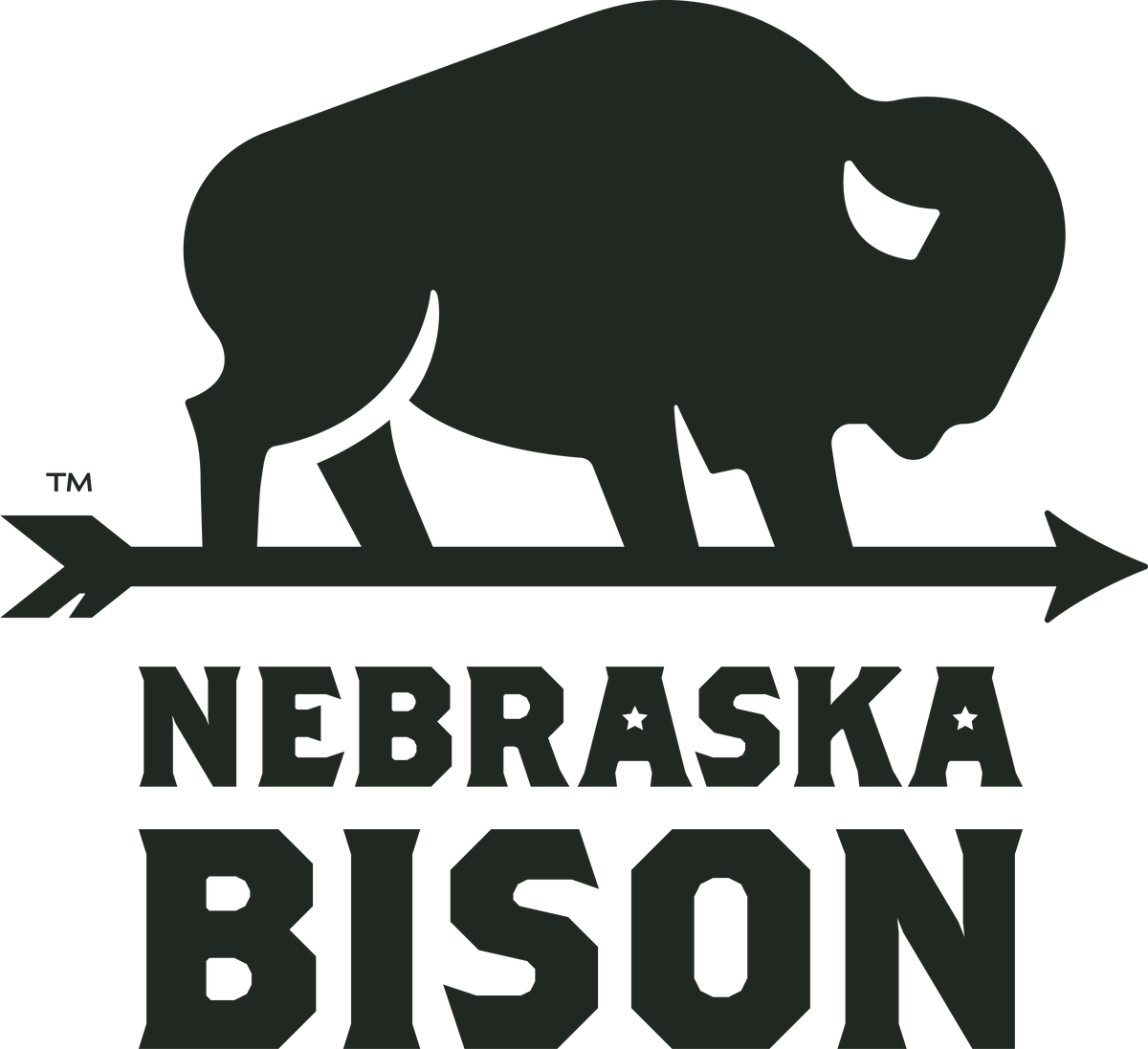 Bison Steak & Burger Seasoning – Nebraska Bison